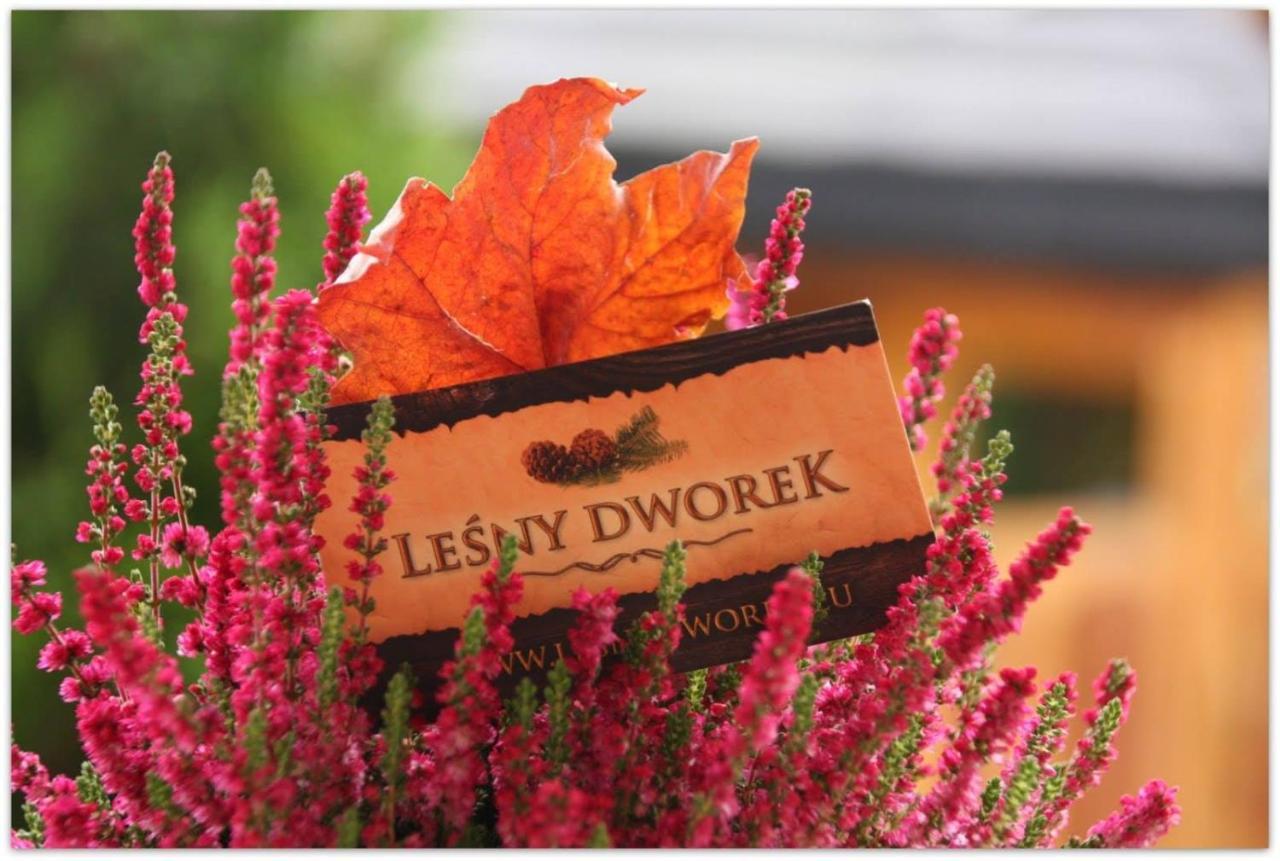 Lesny Dworek Zakopane Ngoại thất bức ảnh