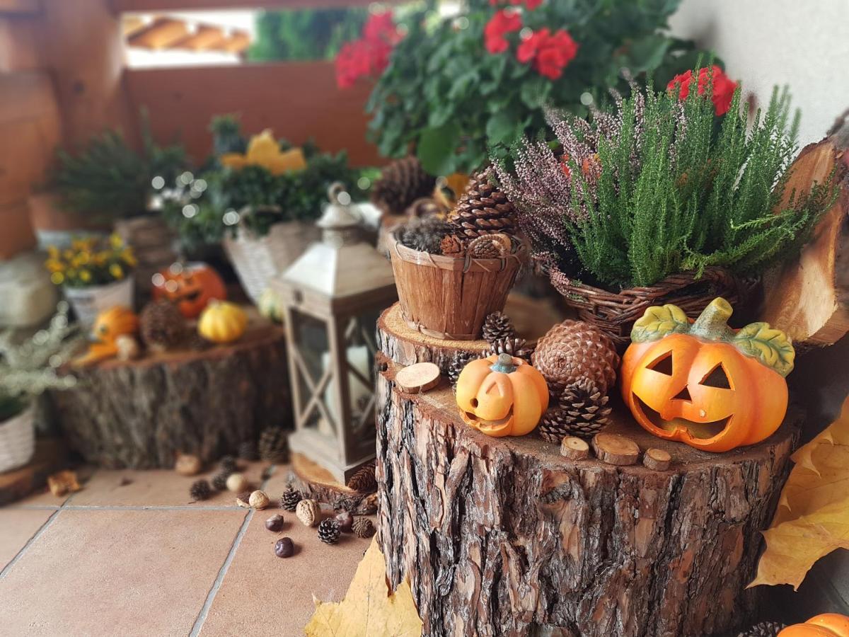 Lesny Dworek Zakopane Ngoại thất bức ảnh
