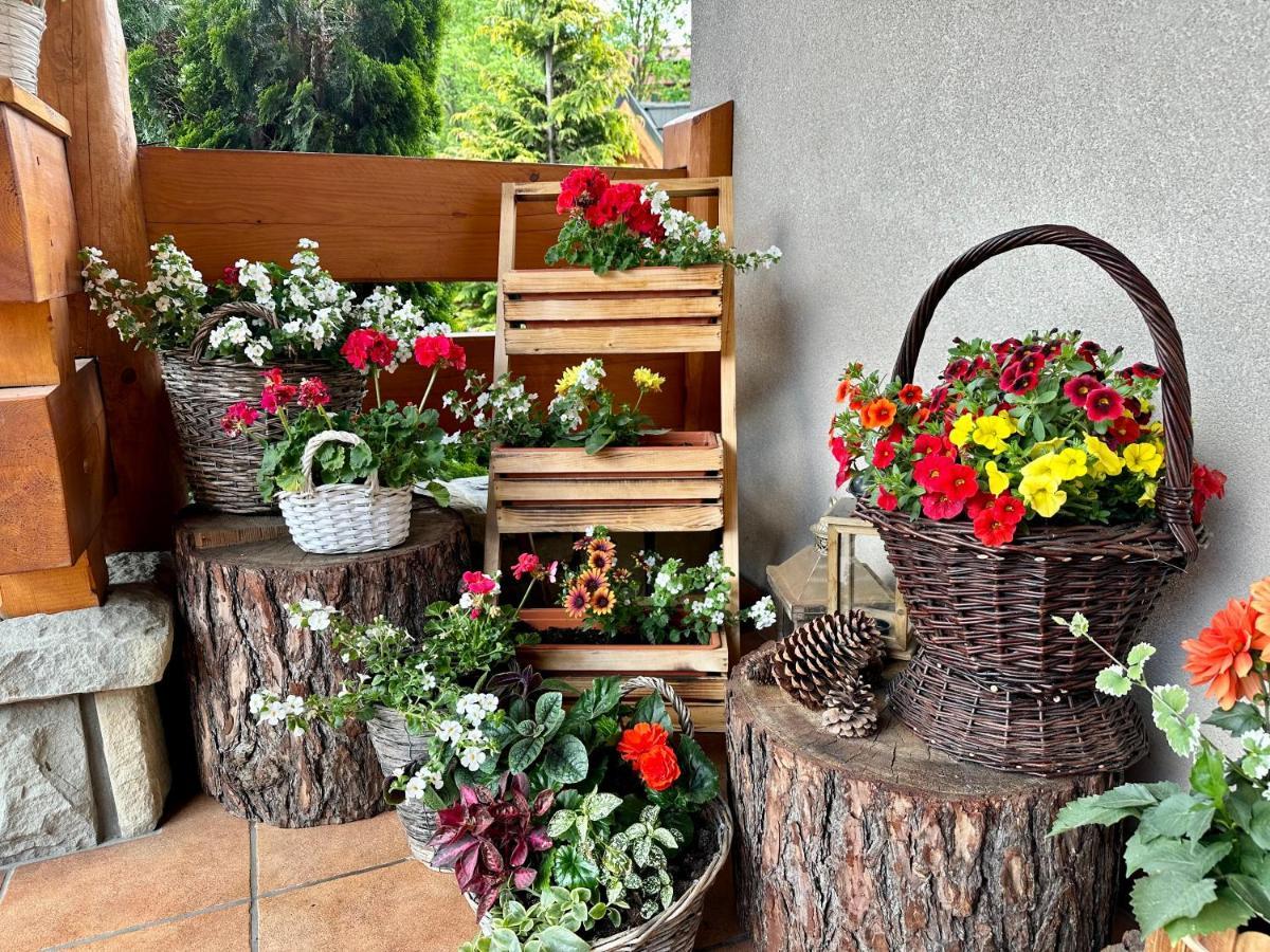 Lesny Dworek Zakopane Ngoại thất bức ảnh