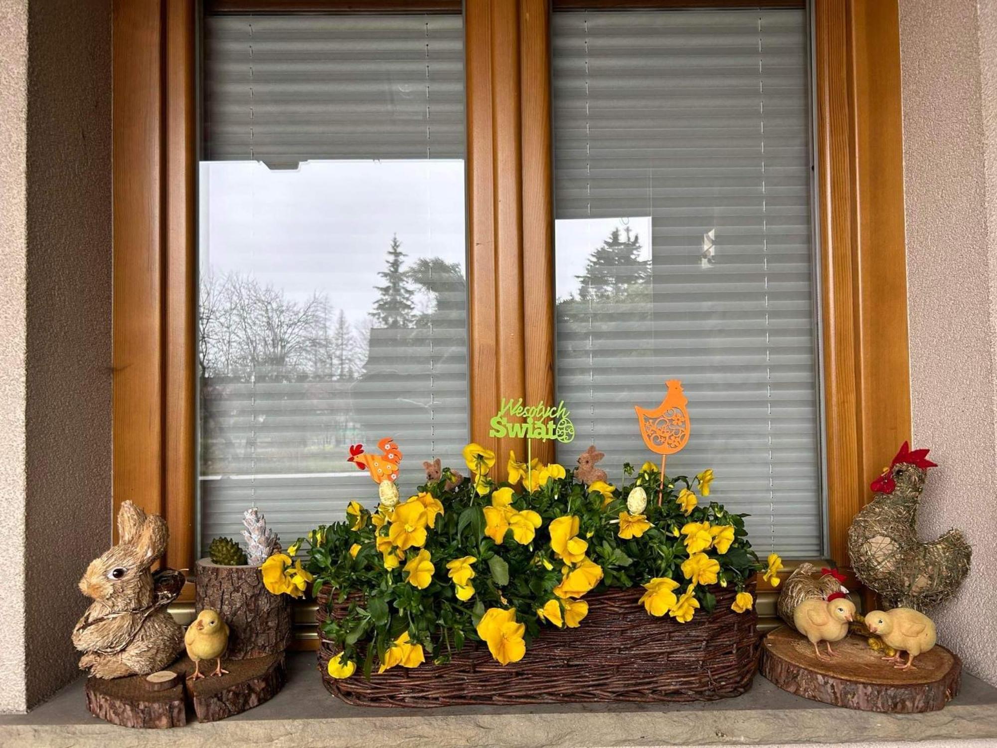Lesny Dworek Zakopane Ngoại thất bức ảnh